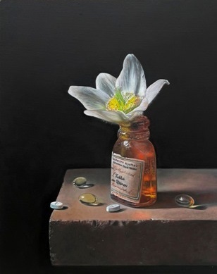 Ginny Page 2022 - Still Life with Sleep Remedies - 28 x 24cm - Oil on Panel